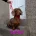 Dachshund (Miniature Smooth Haired)