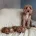 Cavapoo