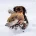 Cocker Spaniel (Working)