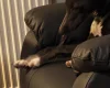 Whippet
