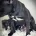 Staffordshire Bull Terrier