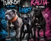 Staffordshire Bull Terrier