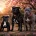 Staffordshire Bull Terrier