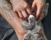 Alapaha Blue Blood Bulldog