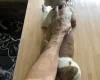 American Bulldog