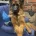 German Shepherd (Alsatian)