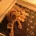 Cavapoo