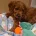 Cavapoo