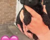 Cockapoo