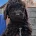 Cockapoo