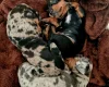 Dachshund (Miniature Smooth Haired)