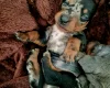 Dachshund (Miniature Smooth Haired)