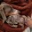 Dachshund (Miniature Smooth Haired)