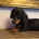 Dachshund (Miniature Smooth Haired)