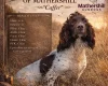 English Springer Spaniel