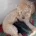 Toy Poodle