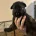German Shepherd (Alsatian)