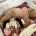 Cavapoo