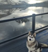 Dam