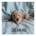 Labradoodle