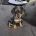 Dachshund (Smooth Haired)