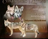 Northern Inuit