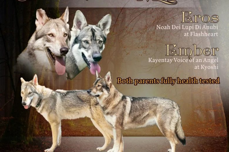 Northern Inuit