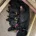 Patterdale Terrier