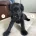 Patterdale Terrier