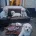 Havanese