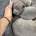 Staffordshire Bull Terrier