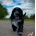 Cockapoo