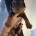 Dachshund (Smooth Haired)