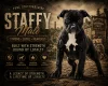 Staffordshire Bull Terrier