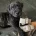 Staffordshire Bull Terrier
