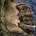 Staffordshire Bull Terrier
