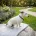 Jack Russell