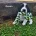 English Springer Spaniel