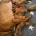Dogue De Bordeaux