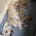 Cockapoo