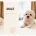 Bichon Frise