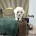 Bichon Frise