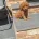Cockapoo