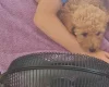 Cockapoo