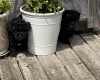 Yorkiepoo