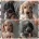 Cocker Spaniel (Show)