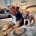 Patterdale Terrier