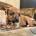 Patterdale Terrier