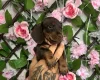 Dachshund (Miniature Smooth Haired)