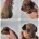 Dachshund (Miniature Smooth Haired)